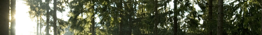image slideshow